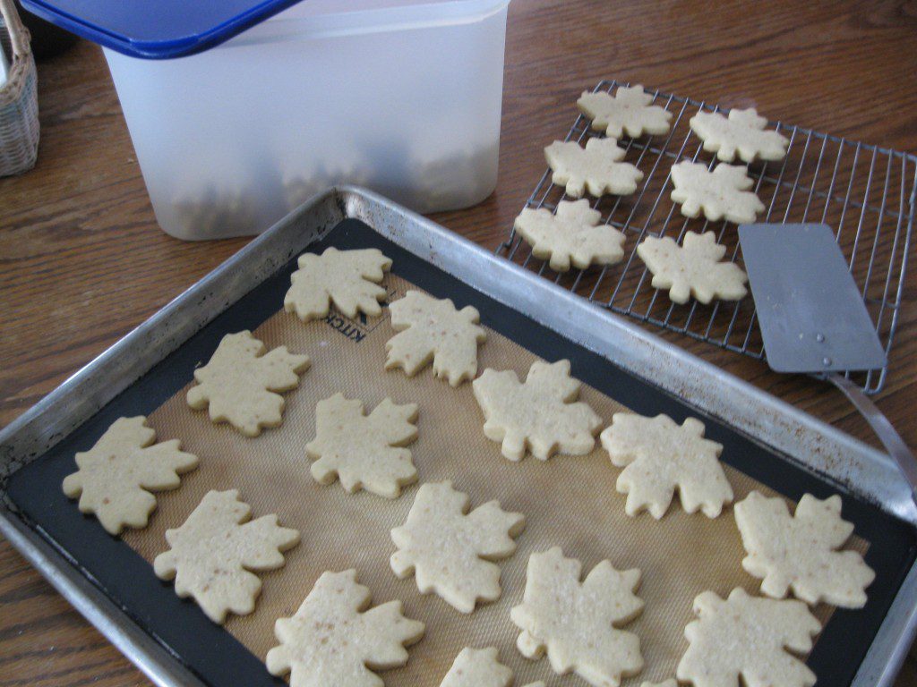 Maple Cookies!